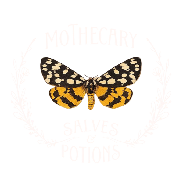 Mothecary salves & potions